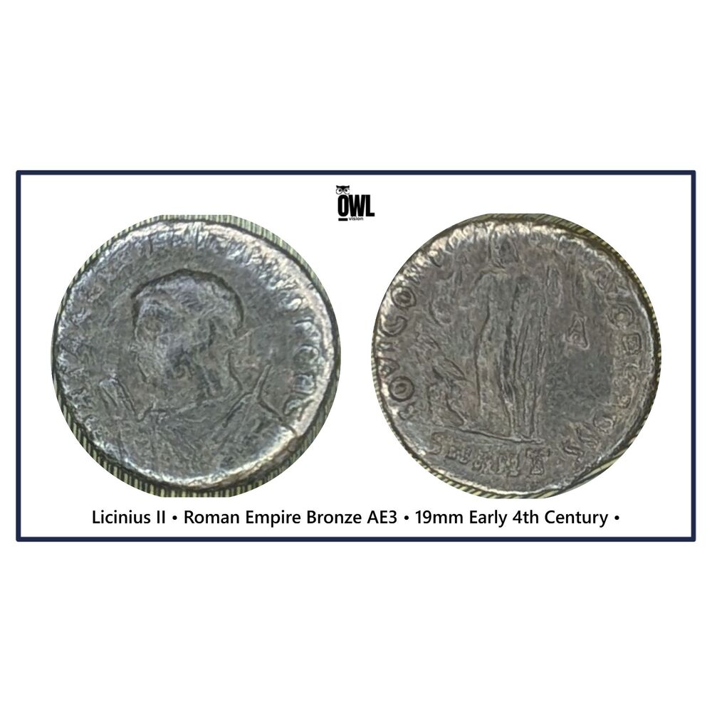 Licinius II • Roman Empire Bronze AE3 • 19mm Early 4th Century • UMM Finds